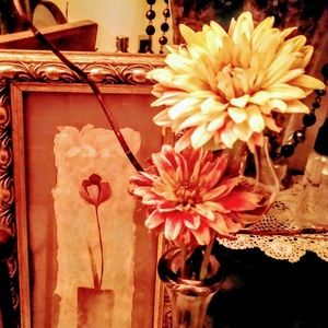 Meet your Posher, Leslie